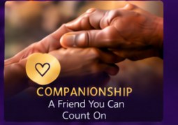 Companionship